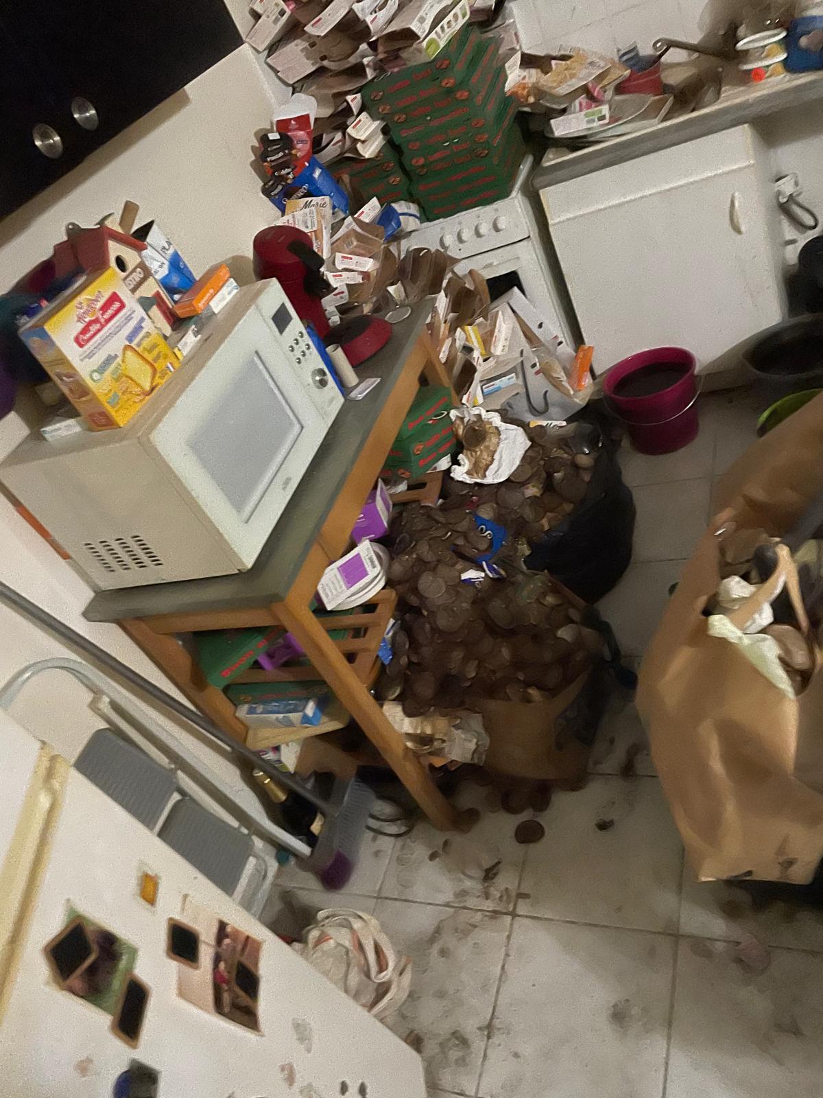 IMG 20241126 WA0045